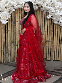 Lehenga with foil mirror and sequin work - Red