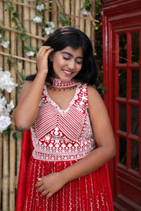 Lehenga with embroidery and sequin work - Red Color