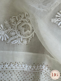 Organza Chikankari with mukesh in white color