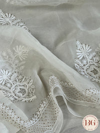 Organza Chikankari with mukesh in white color