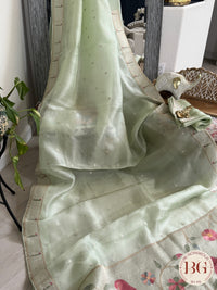 Paithani on Organza Silk with silver zari - pastel green