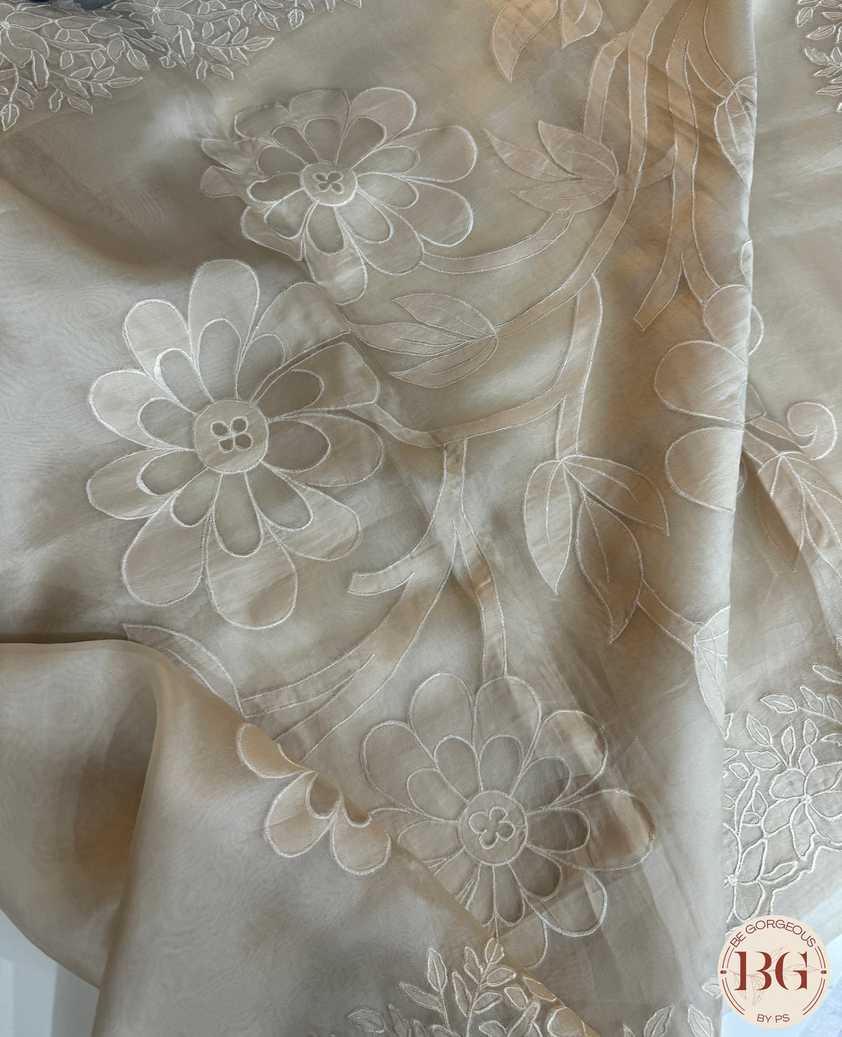 Organza with applique work - Beige