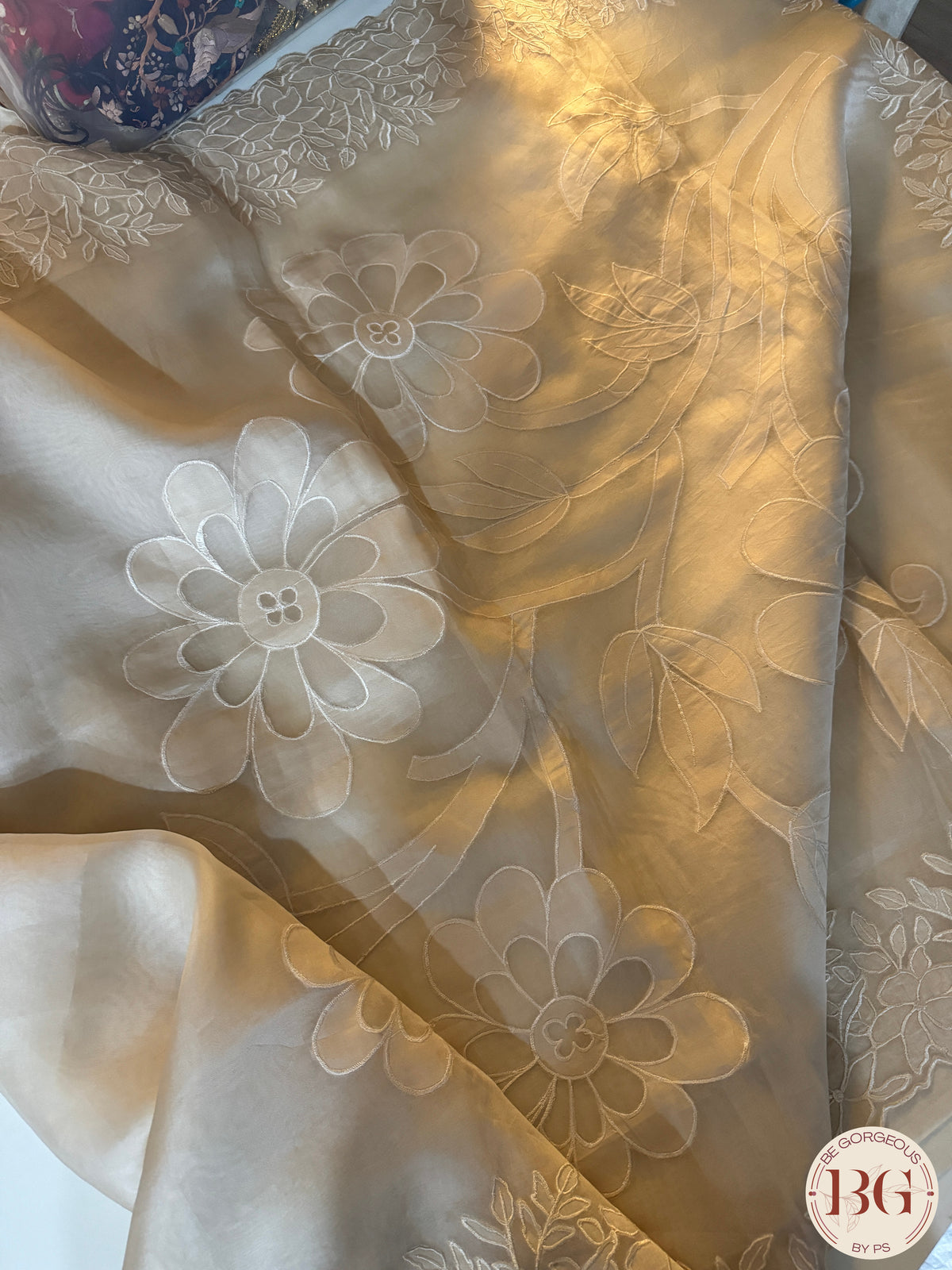 Organza with applique work - Beige