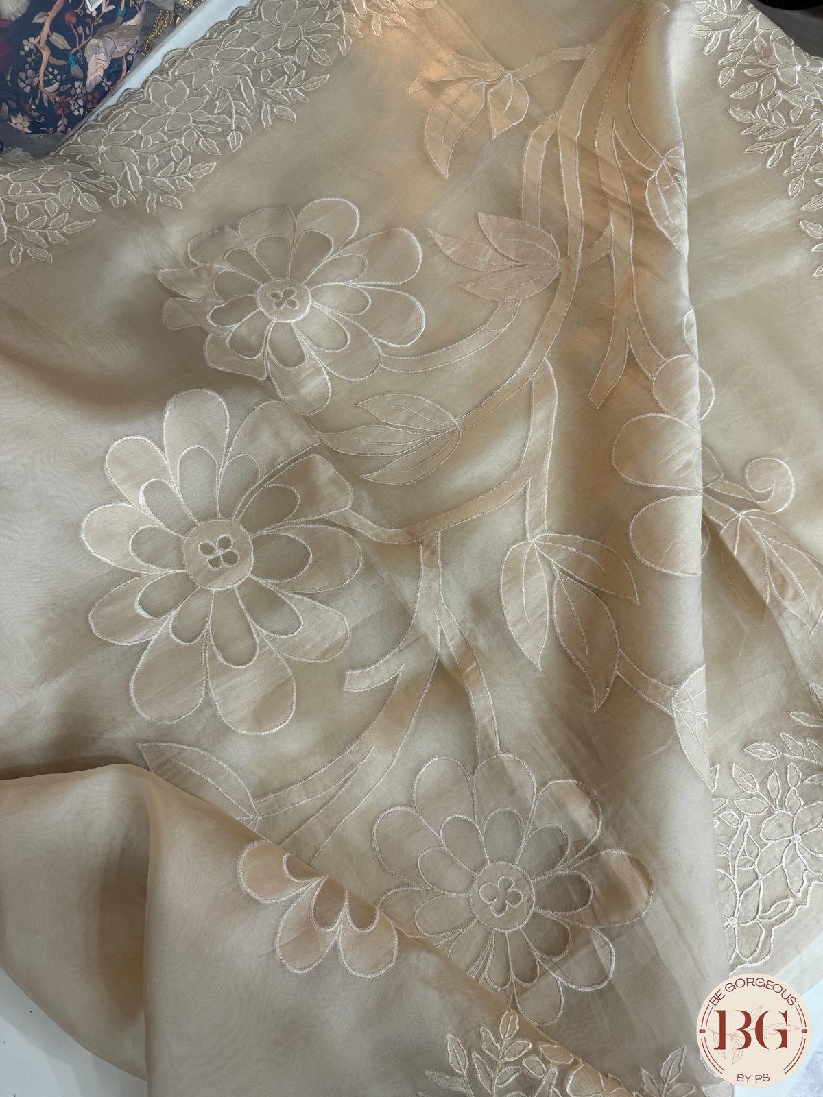 Organza with applique work - Beige