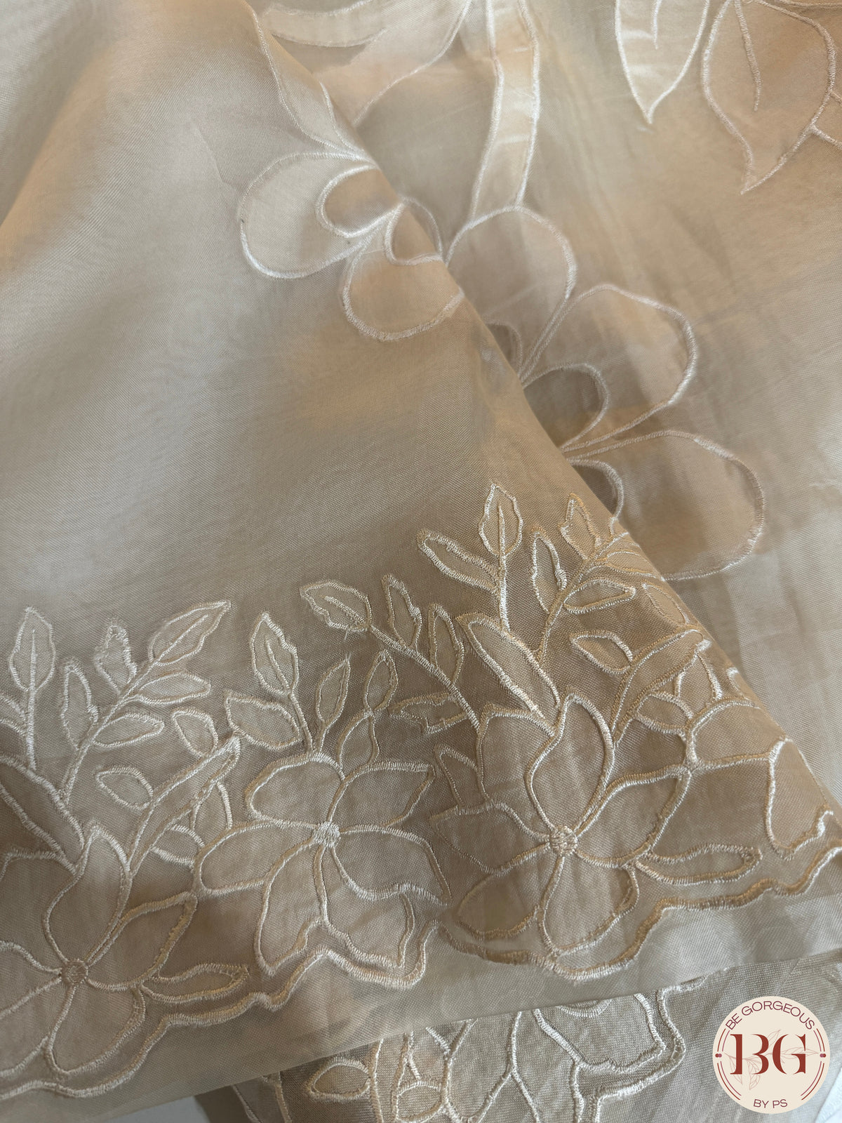 Organza with applique work - Beige