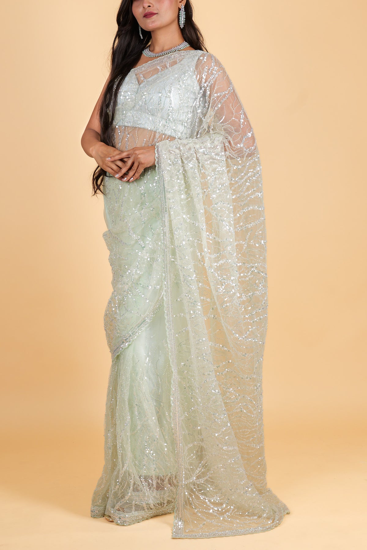 Net designer Saree with sequin work - green