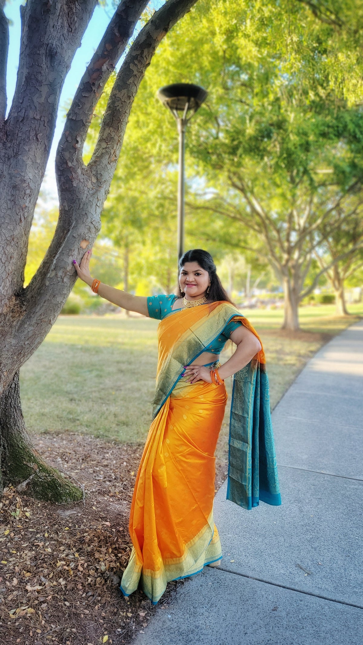 Kanjeevaram Silk Saree