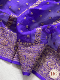 Banarasi Khaddi georgette silk weaved saree, silkmark certified - Bluish Purple dots & stripes